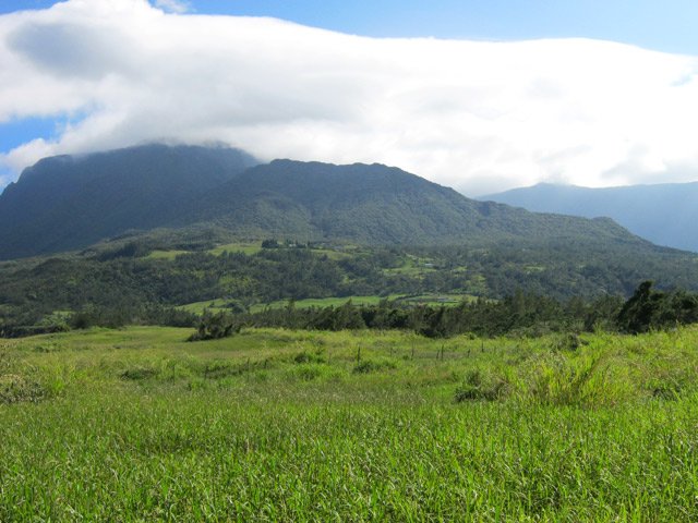 Traversée du plateau de Grand Coude avec vues sur le Morne Langevin