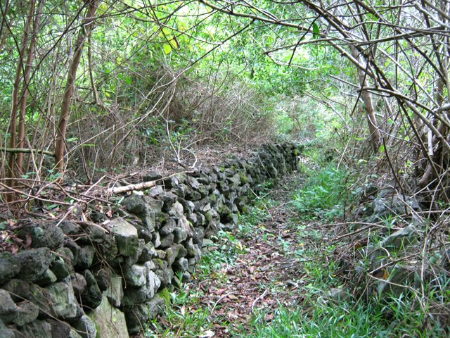 Murette en fin de descente avant de rejoindre la petite route