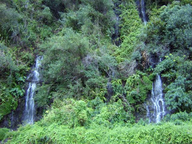 Le premier sentier surgit à 50 mètres des trois sources