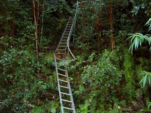 Le sentier Corymbis débute sérieusement. Attention de pas manquer les échelles