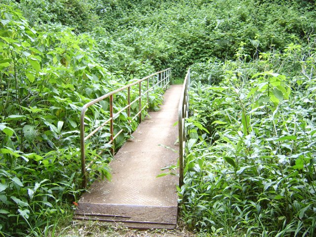 L'autre côté de la passerelle