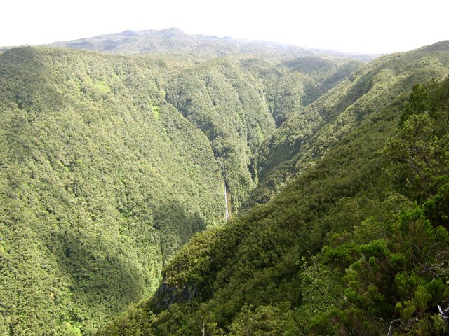 L'amont de la Ravine des Patates à Durand
