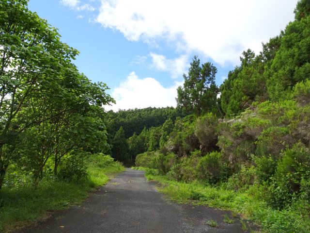 La route se rétrécit mais reste carrossable