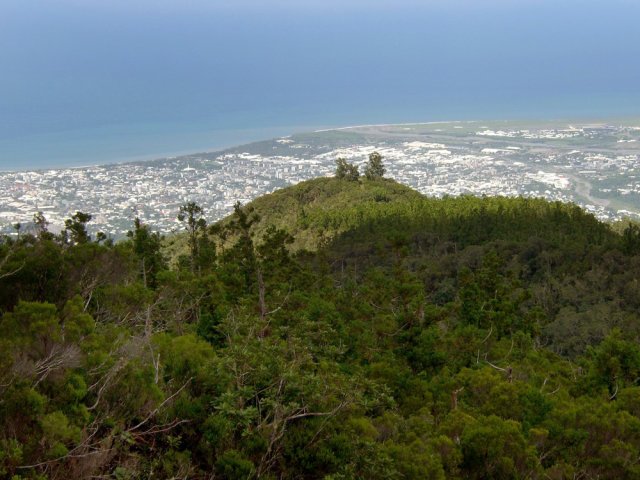 Les trois filaos du Morne St-François servent de repère