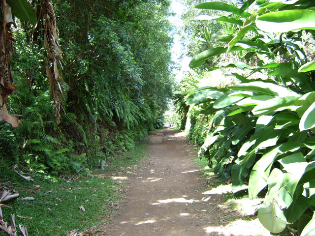 Les sentiers sont rares sur cette randonnée