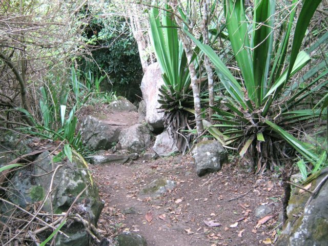 La courte grimpée vers la crête est caillouteuse