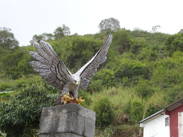 Un des deux aigles du Piton de Sucre !