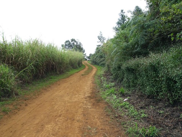 La piste reste large mais le béton disparaît