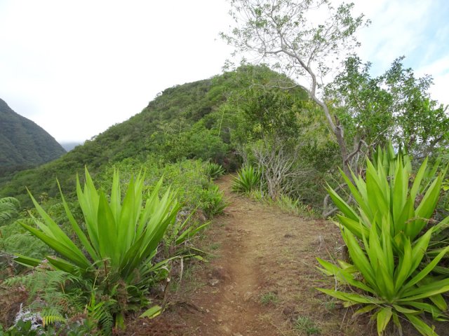 Une idée du chemin parcouru depuis le Piton de Sucre