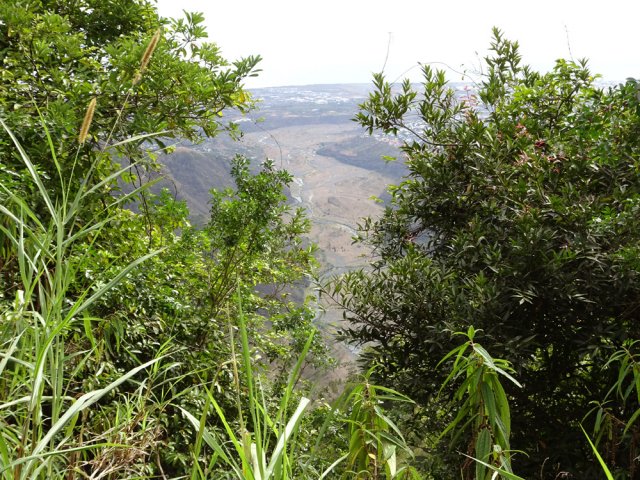 Le beau point de vue sur la Rivière des Galets se bouche de plus en plus