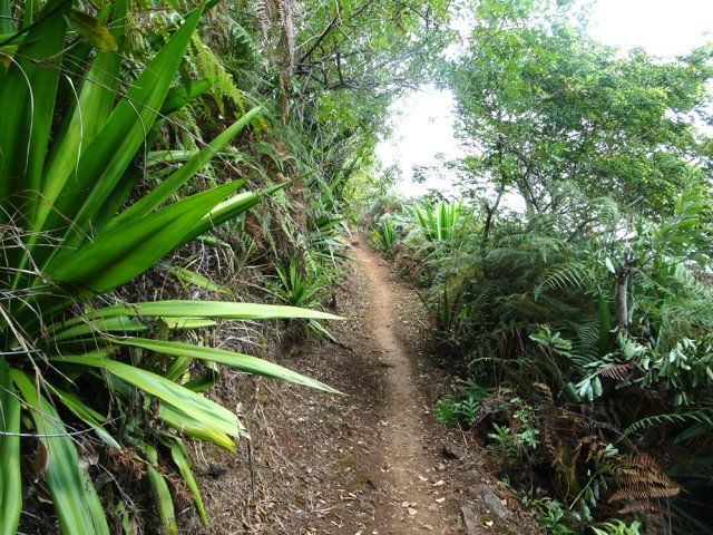 parcours fréquenté à l'approche du sentier de bord