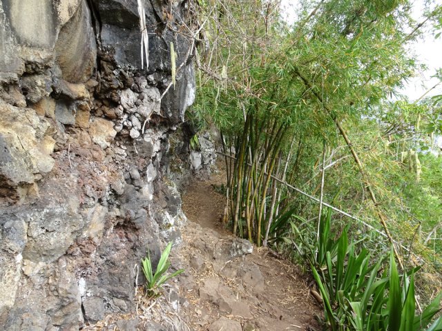 Agréable sentier rocheux bordé de bambous