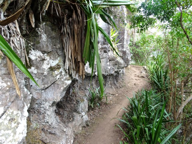 Nouvelle falaise basaltique