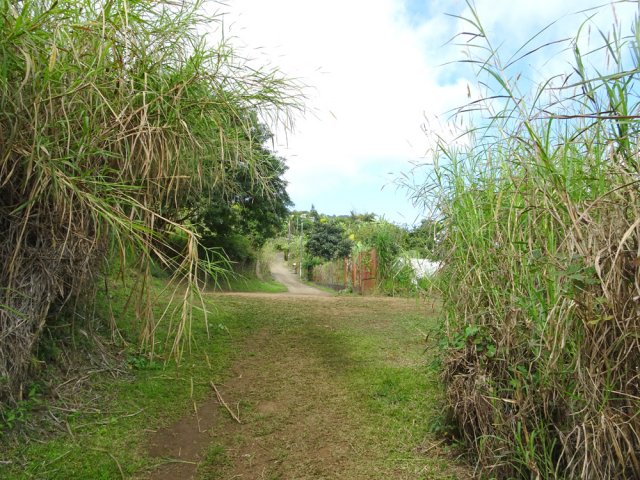 Arrivée à la Rue Ferdinand Louise