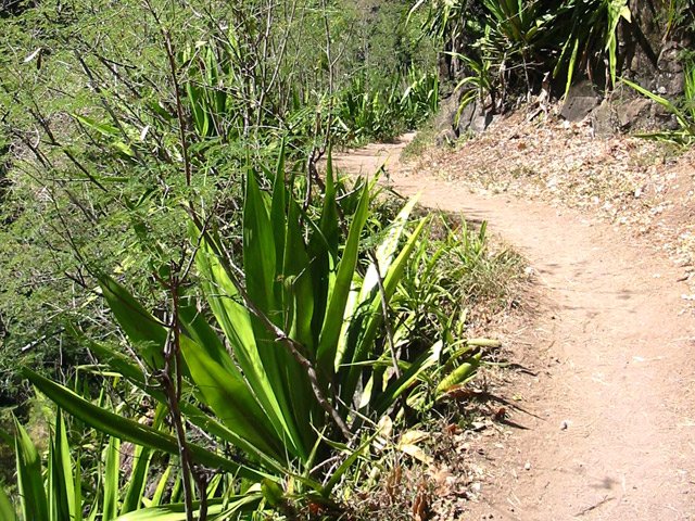 Une partie facile du sentier de descente