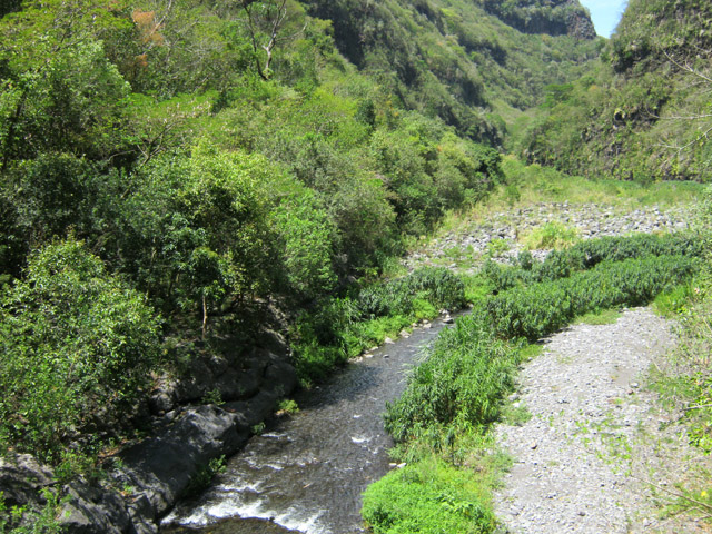 Le Bras de la Plaine vers l'aval