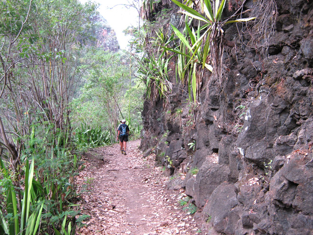 Le sentier dans la montée vers l'Entre-Deux