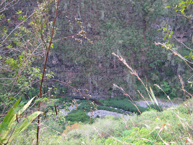 Le sentier domine le Bras de la Plaine