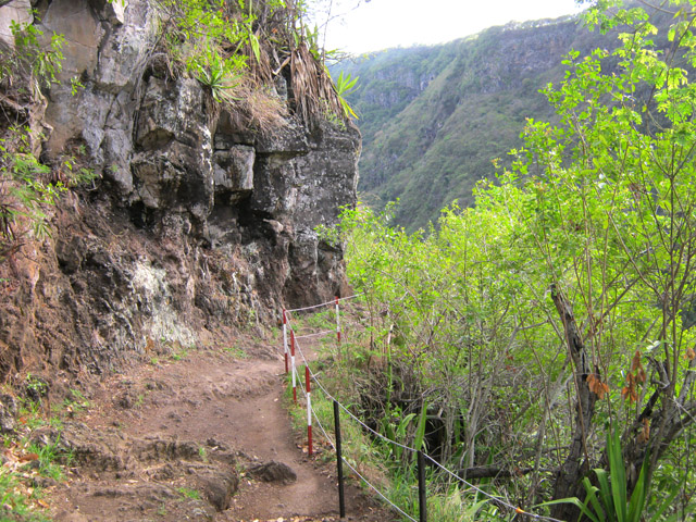 Une autre vue du sentier, protégé par endroits