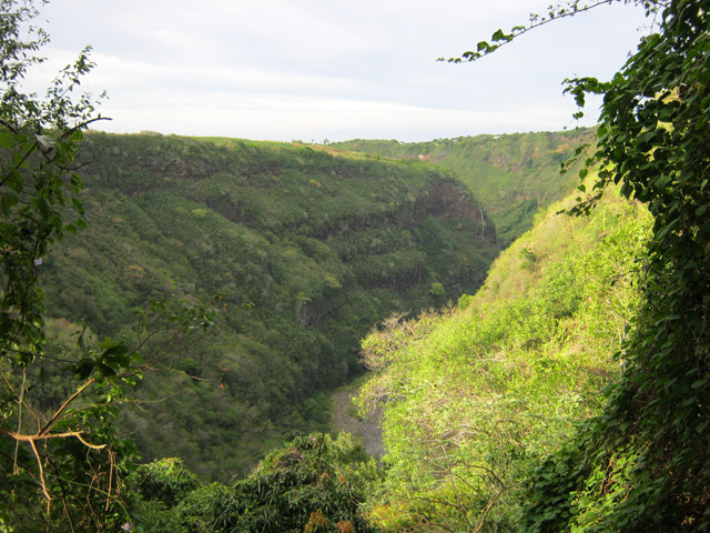 La vallée du Bras de la Plaine vers l'aval