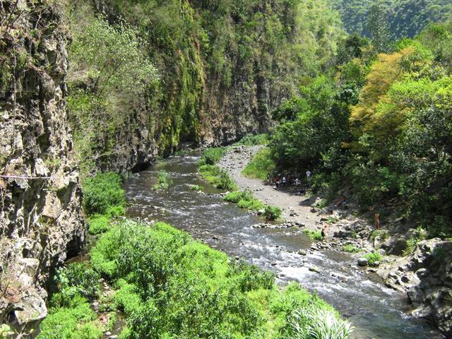 Le Bras de la Plaine vers l'amont près de la passerelle