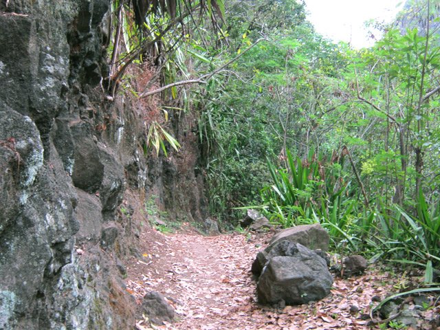 Des pierres au milieu du passage dans l'autre montée