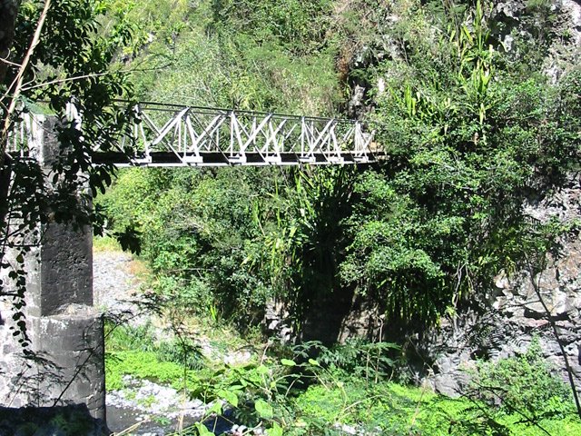 La passerelle a été installée au plus étroit de la rivière