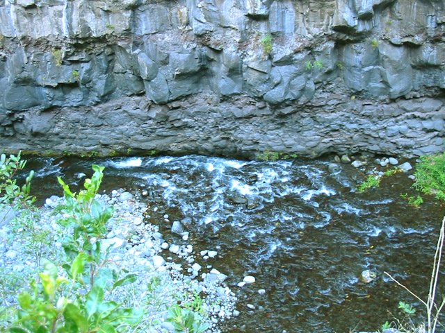 Vue plongeante vers le Bras de la Plaine avant de s'approcher des berges