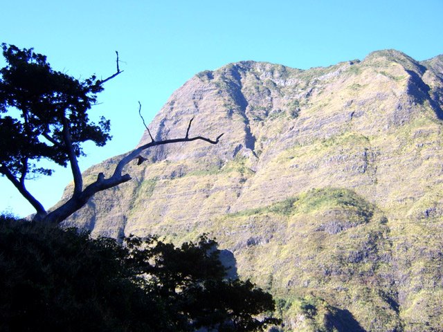 Plus on descend et plus l'Îlet Alcipe paraît haut