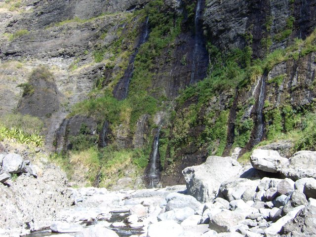 Des pisse-en l'air sortent de la falaise qui longe la rivière