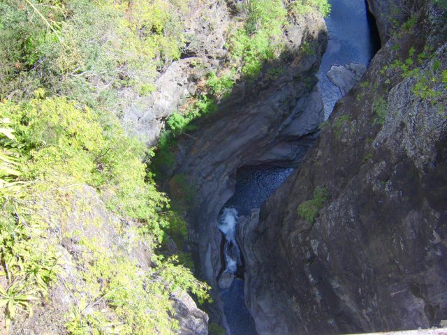 Un coup d'œil sur les bassins en-dessous de la passerelle
