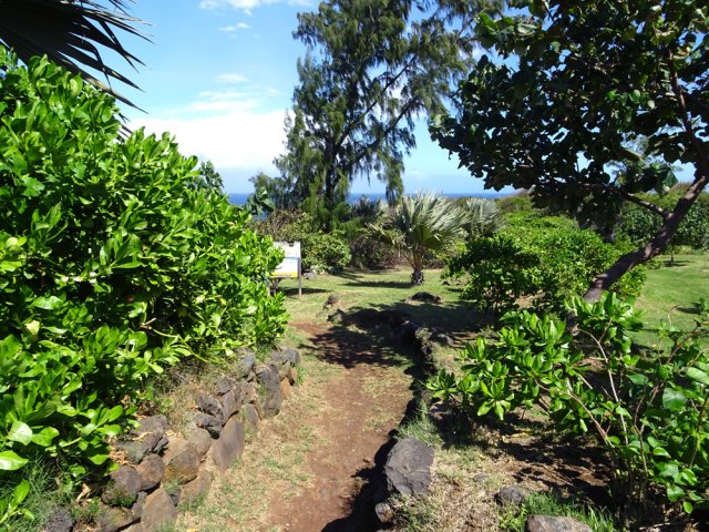 Beau sentier bordé de murettes en tout début de boucle