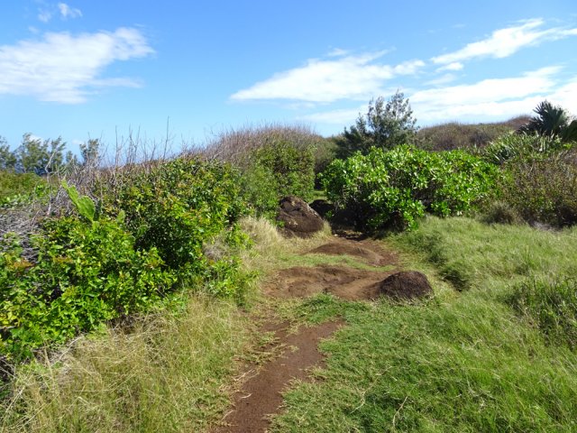 Une autre idée du sentier, toujours aussi facile