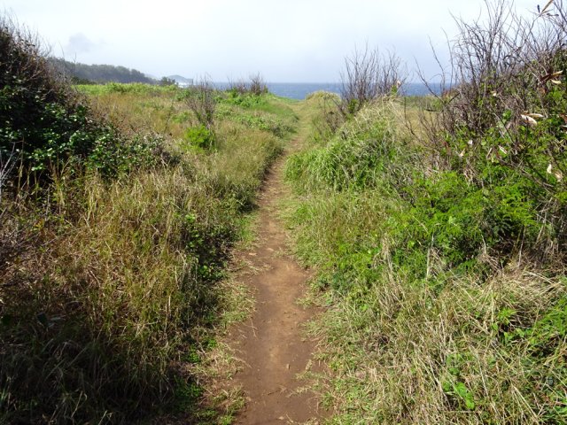 Après les habitations, le sentier reprend dans les herbes et épineux