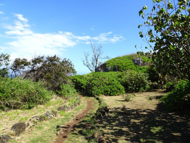 Sentier très agréable et plat