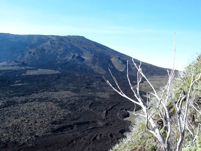 Des coulées assez récentes en face Nord