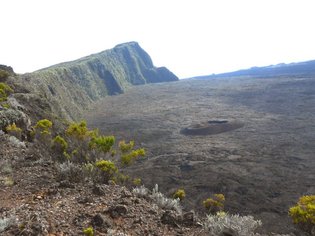 Le Formica Leo est encore à l'ombre