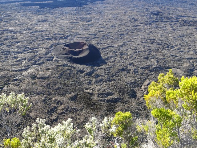 Plusieurs points de vue sur l'enclos et le Formica Leo