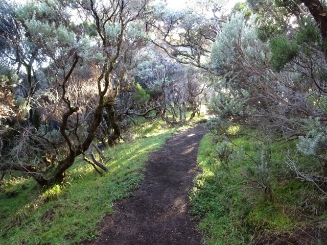 Le passage est toujours aussi propre jusqu'au Piton de Partage