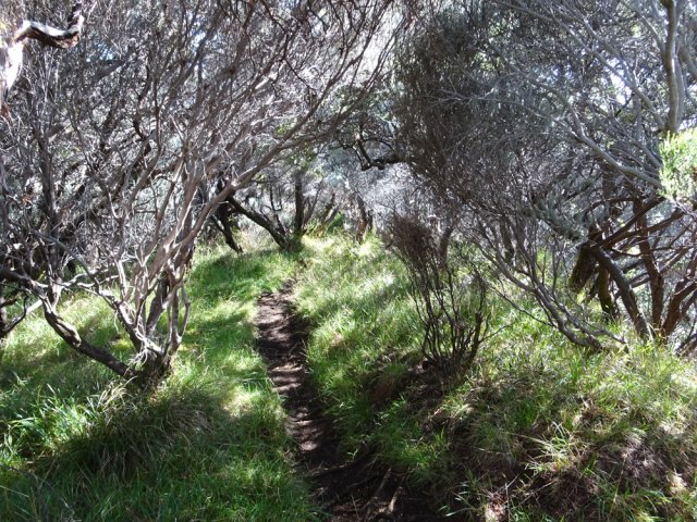 Une portion dans les herbes au plus près du rempart