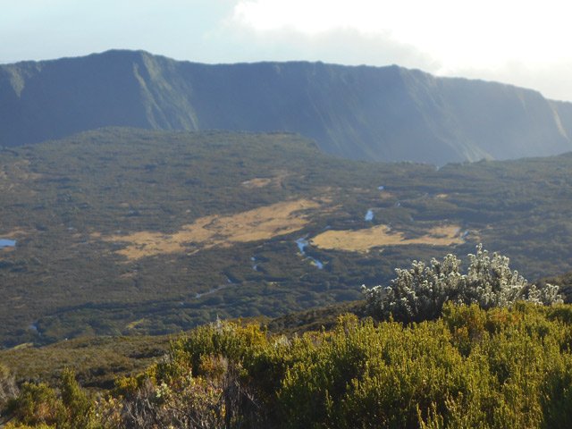 Plus on avance et plus on domine la Savane Cimetière et le fond de la rivière de l'Est