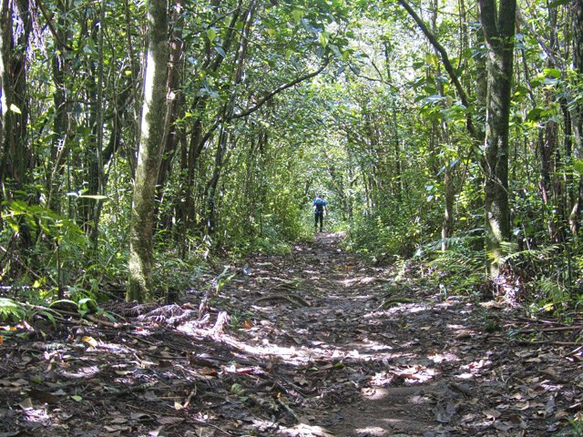 Portion très large vers le départ du sentier du Malabar Mort