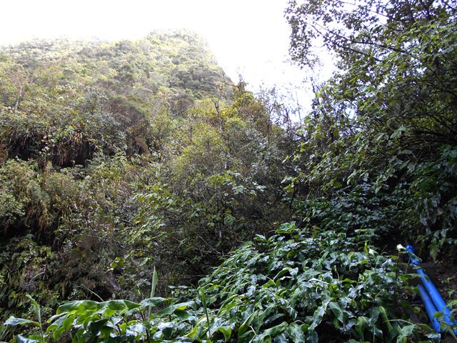 Certains tuyaux ont été récemment remplacés