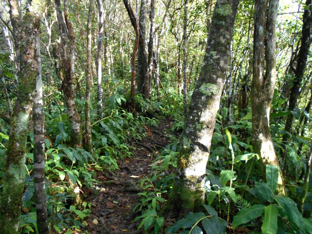 Les longoses dominent tout au long de la boucle