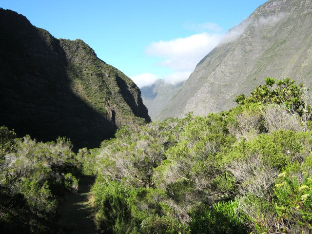 Agréable sentier après la longue descente