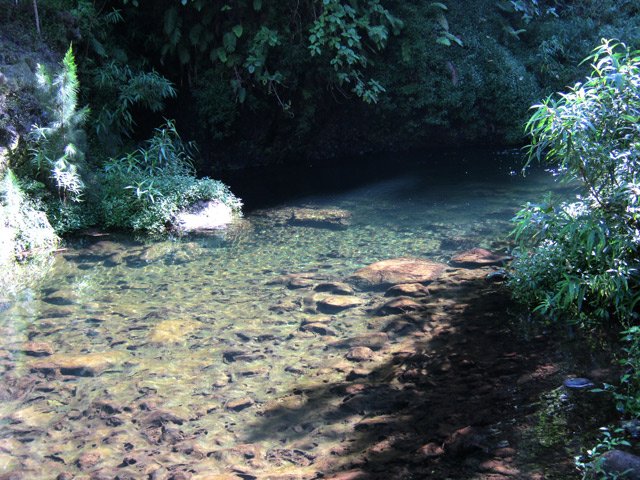 Un bassin à truites qu'on voit filer à l'arrivée du marcheur
