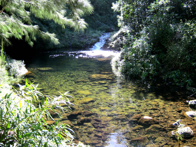 Un autre bassin, plus haut, au gué. On y voit des truites
