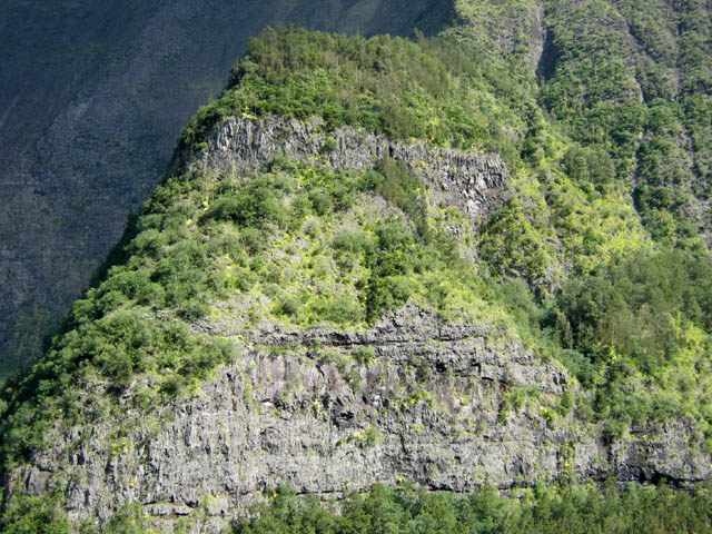 L'Ilet d'Ulysse, en haut, désormais habité par la forêt de filaos
