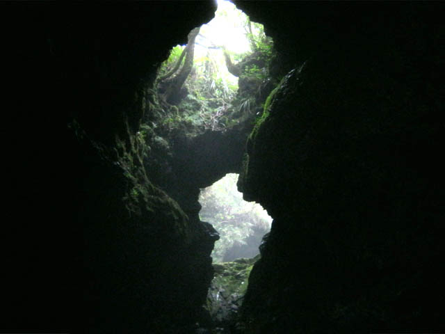 Rivière souterraine : Une des nombreuses cheminées donnant sur la forêt