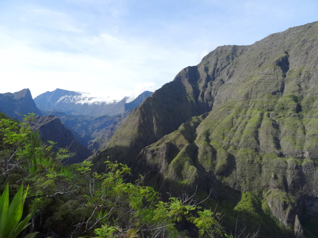 Le Piton des Calumets et le Grand Bénare à l'horizon